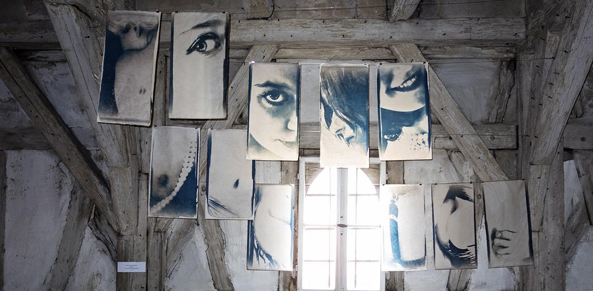 Blasons (Close-ups)<br><small>cyanotypes on kashmir japanese paper</small>