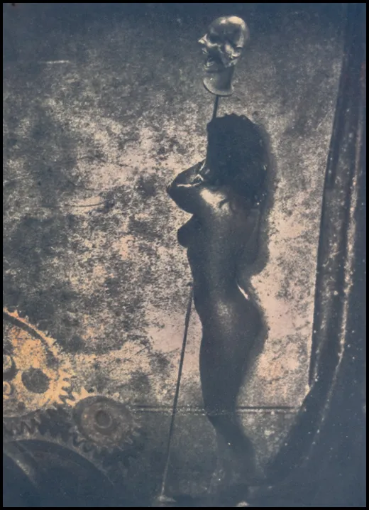 Polonaise against hysteria<br><small>cyanotype</small>