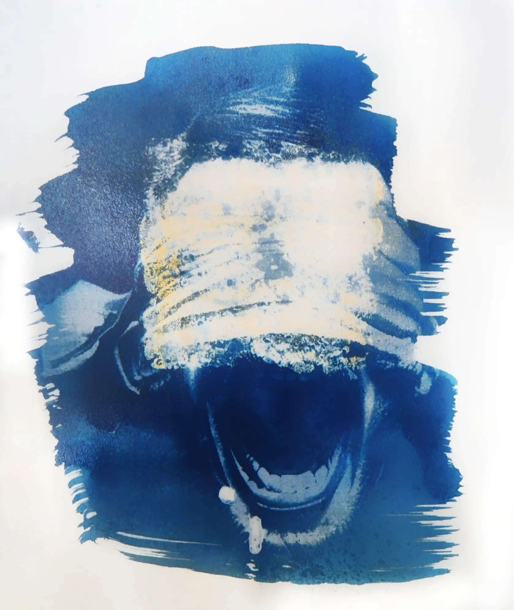<br> <br><small>cyanotype</small>