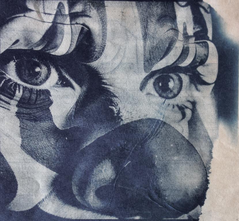 <br> <br><small>cyanotype</small>
