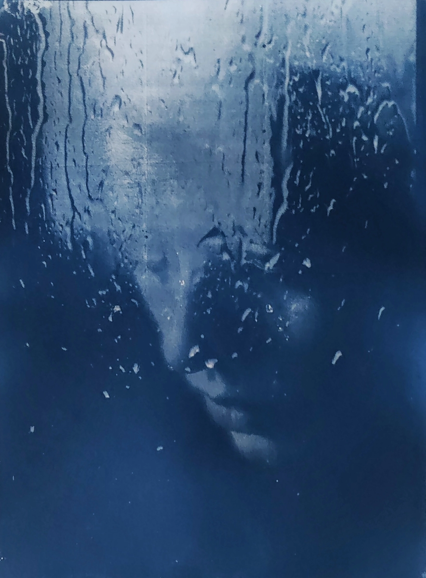 <br>Regentag<br><small>Mit Kaffee getönte Cyanotypie auf Clairefontaine SIMILI JAPON Kunstdruck-Papier</small>