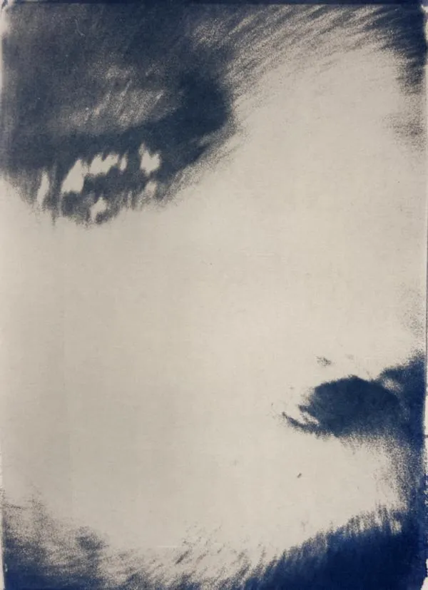 <br><small>cyanotype</small>