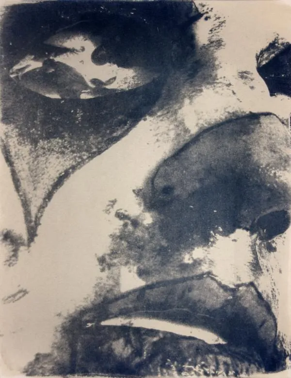 <br><small>cyanotype</small>
